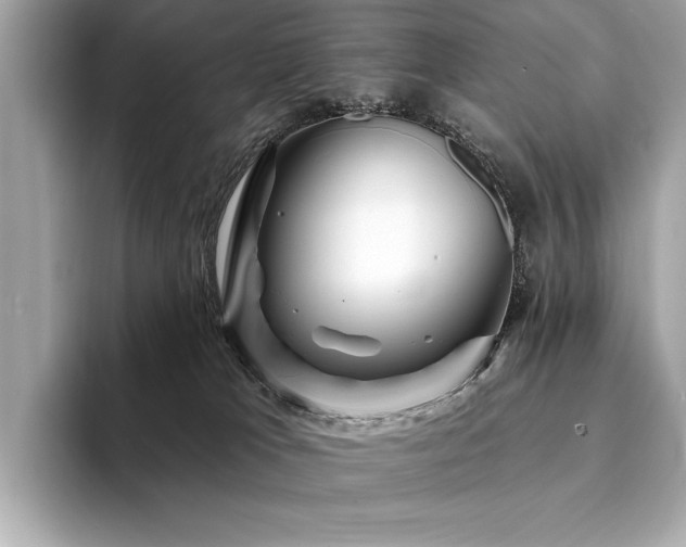 X0000094190037200710261140