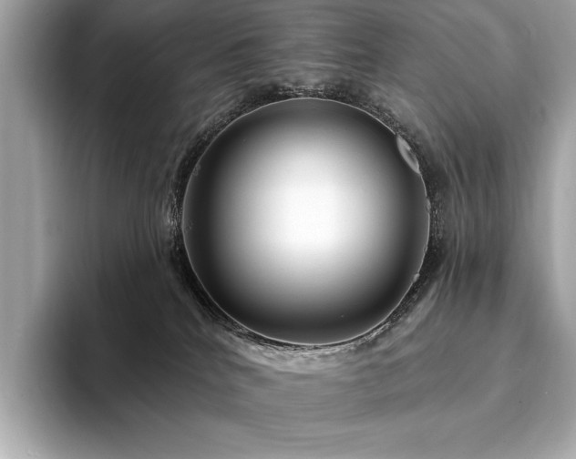 X0000094190040200710261140