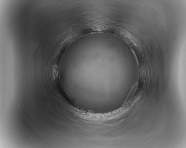 X0000094190043200710261140