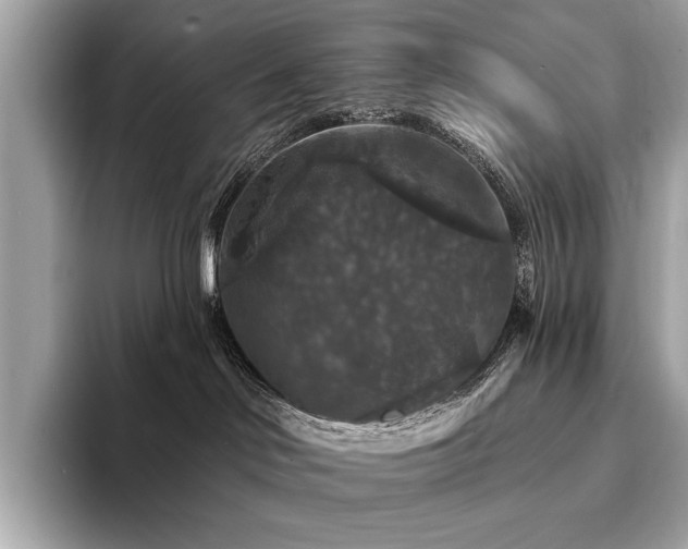 X0000094190046200710261140