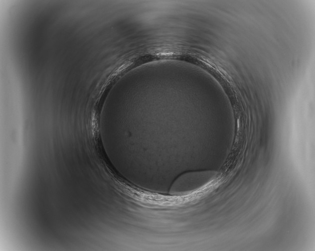 X0000094190048200710261140