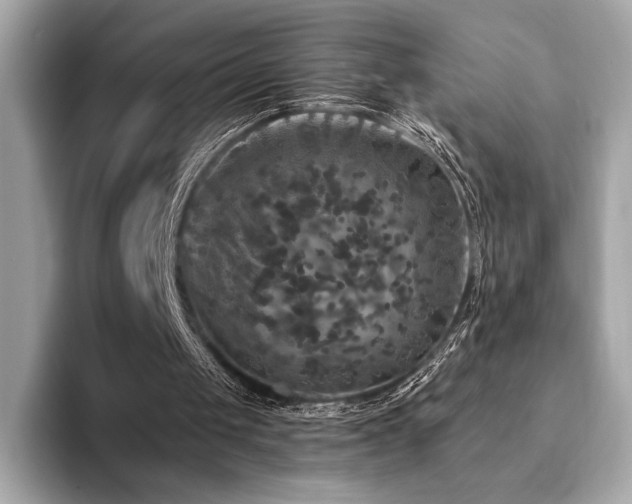 X0000094190049200710261140