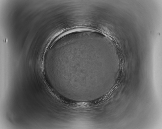 X0000094190050200710261140