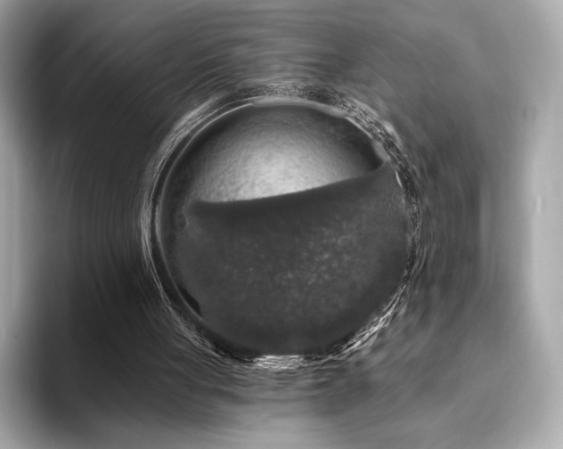 X0000094190051200710261140