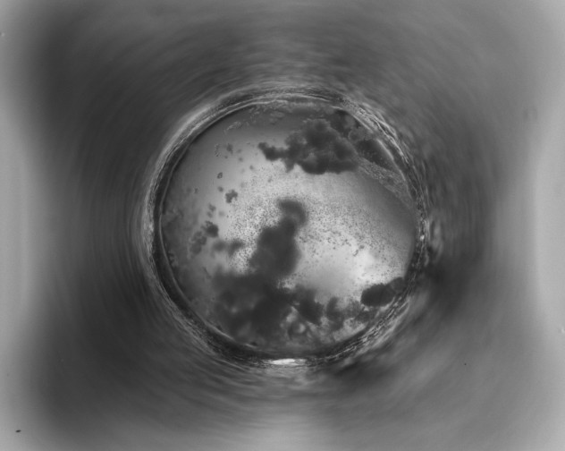 X0000094190053200710261140