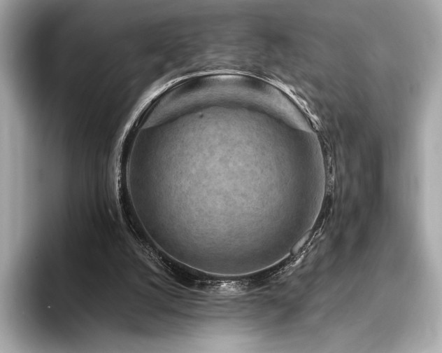 X0000094190056200710261140
