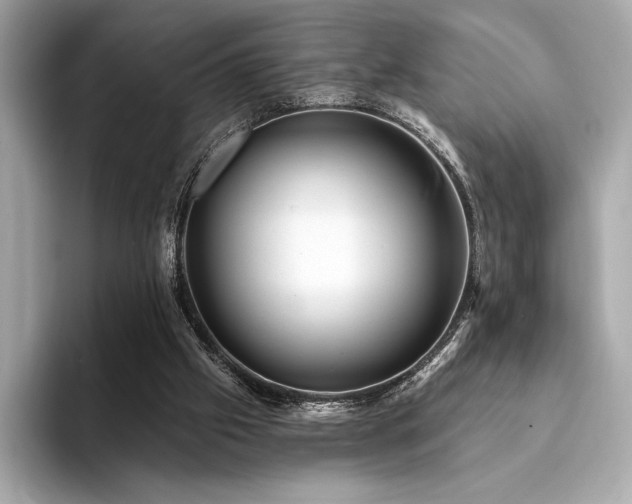 X0000094190057200710261140