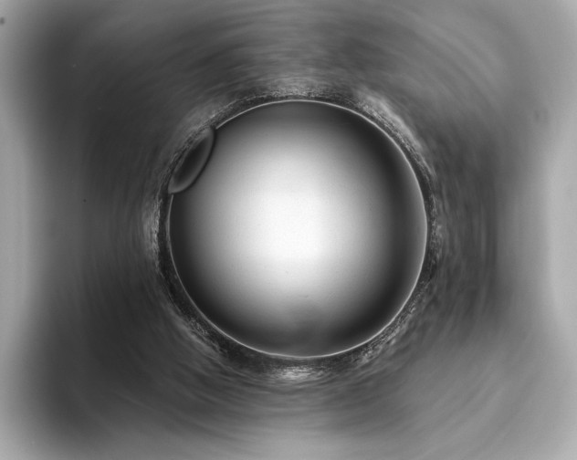X0000094190058200710261140