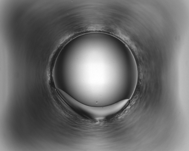 X0000094190060200710261140