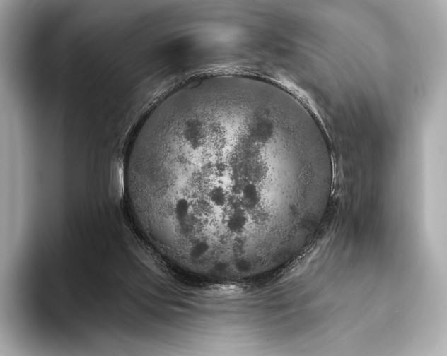 X0000094190061200710261140