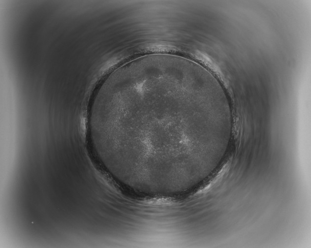 X0000094190063200710261140