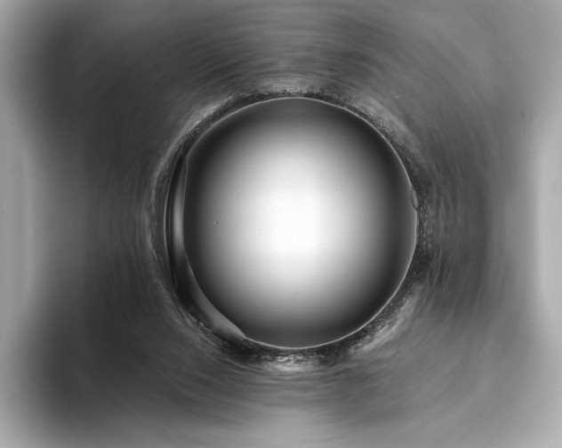 X0000094190064200710261140