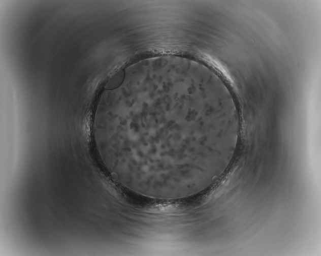 X0000094190065200710261140
