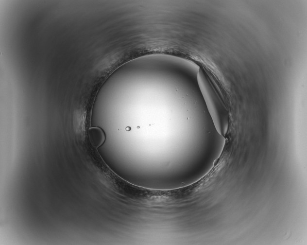 X0000094190066200710261140