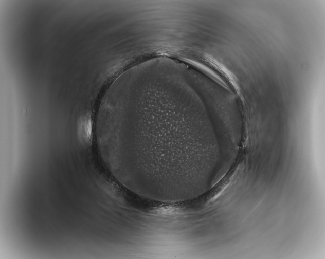 X0000094190067200710261140