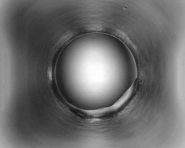 X0000094190068200710261140
