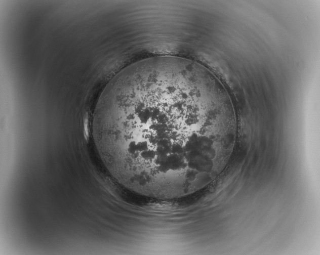 X0000094190069200710261140