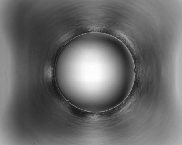 X0000094190071200710261140