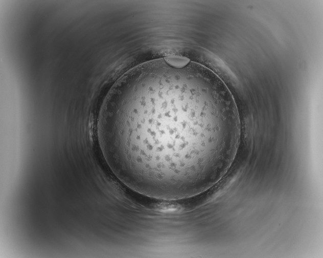 X0000094190073200710261140