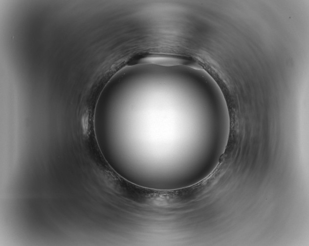 X0000094190074200710261140