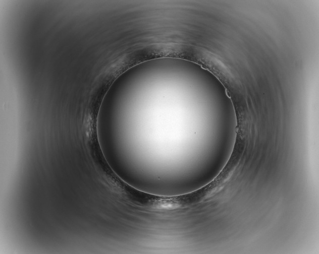 X0000094190077200710261140