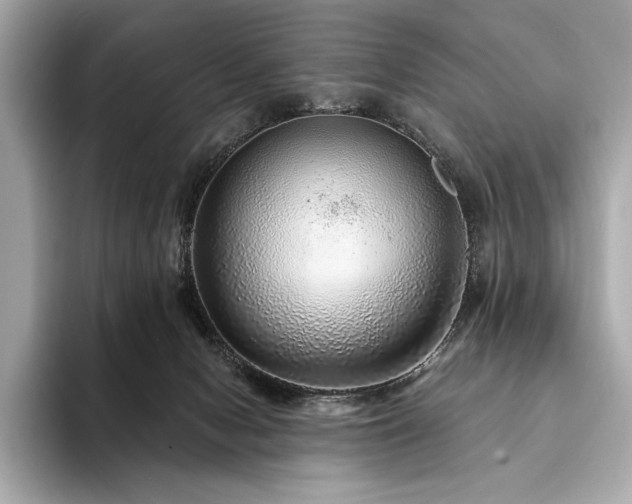 X0000094190078200710261140