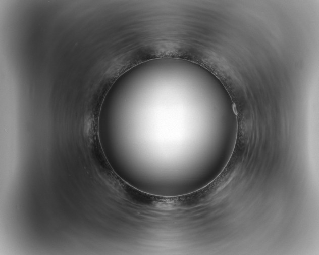 X0000094190079200710261140