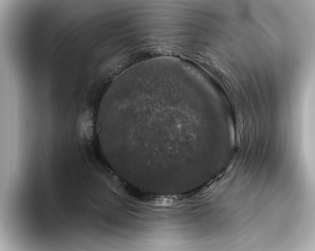 X0000094190080200710261140