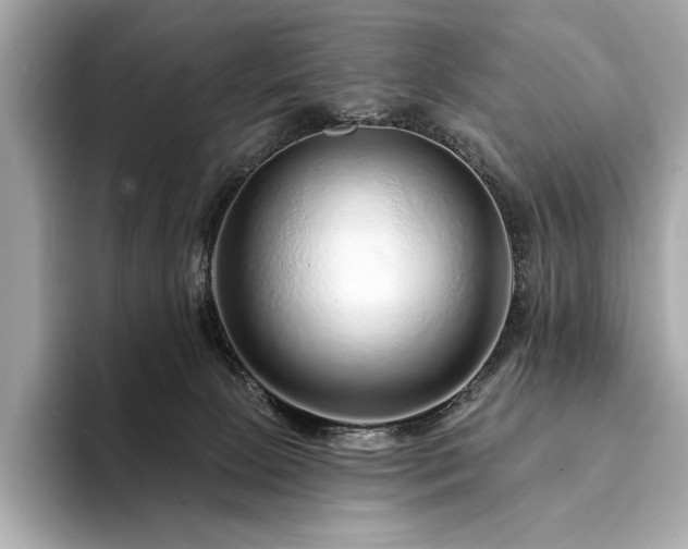 X0000094190081200710261140