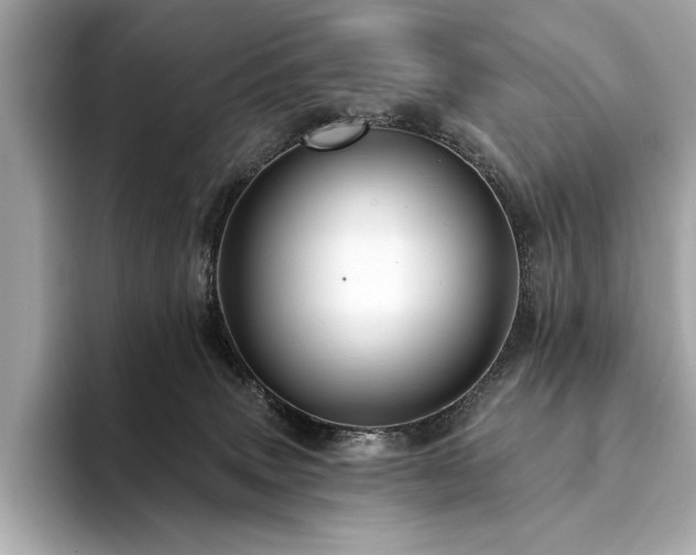 X0000094190083200710261140
