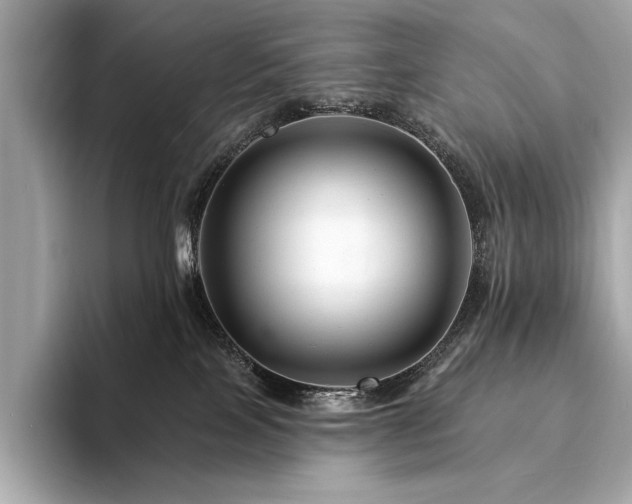 X0000094190089200710261140