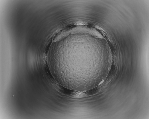 X0000094190093200710261140