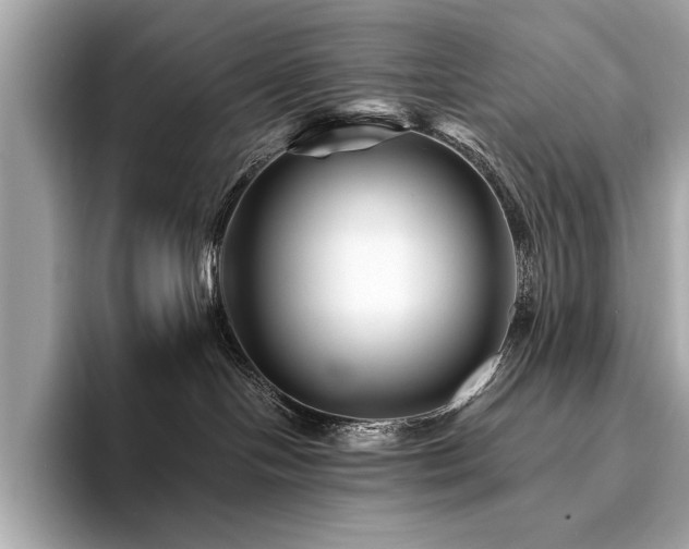 X0000094190094200710261140
