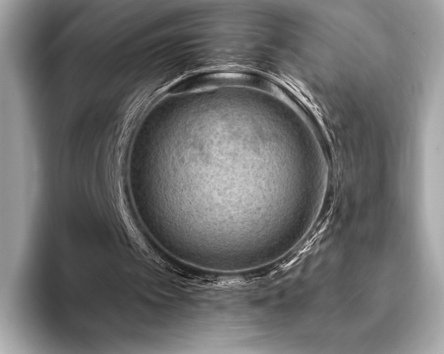 X0000094190097200710261140