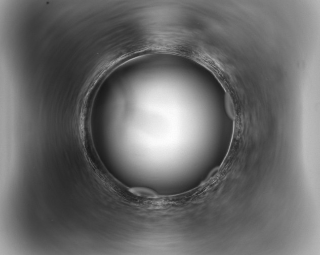 X0000094190098200710261140