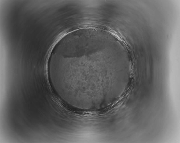 X0000094190099200710261140