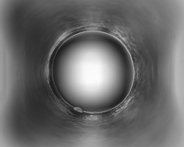 X0000094190102200710261140