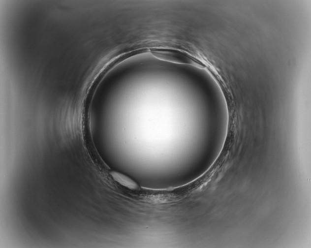X0000094190103200710261140