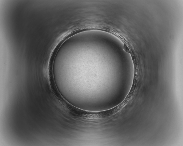 X0000094190104200710261139