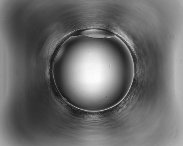 X0000094190107200710261139