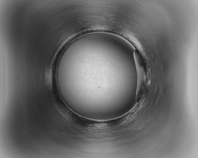 X0000094190108200710261139