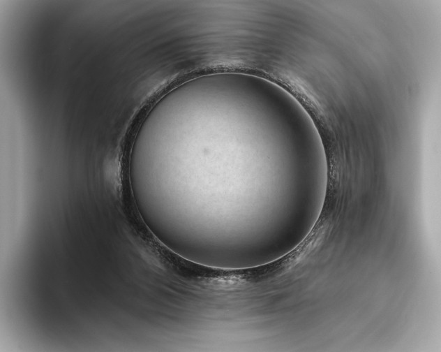 X0000094190112200710261139