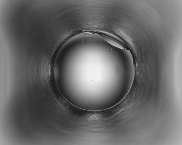 X0000094190115200710261139