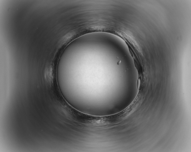 X0000094190116200710261139
