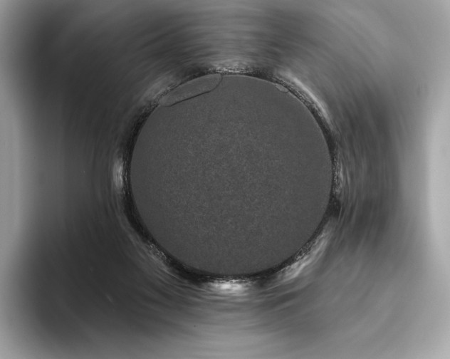 X0000094190117200710261139