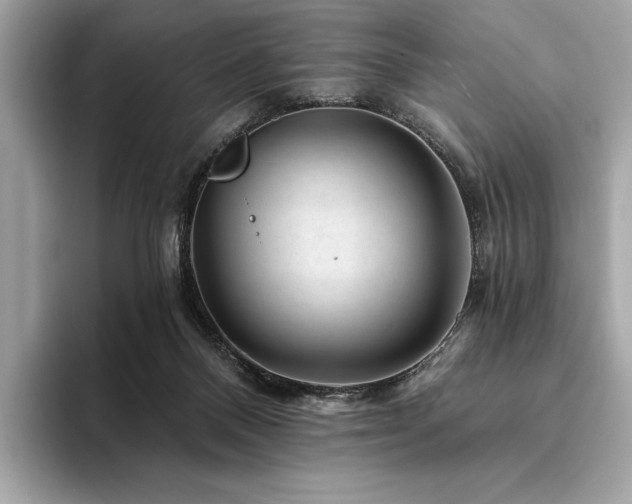 X0000094190120200710261139