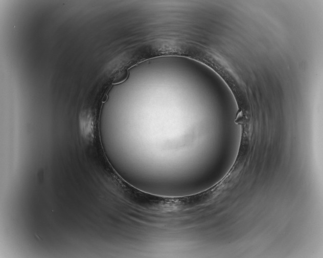 X0000094190124200710261139