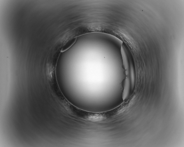 X0000094190125200710261139