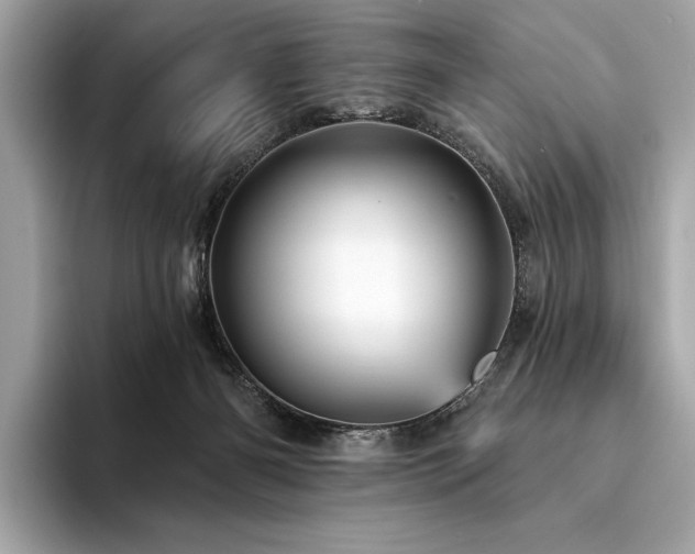 X0000094190126200710261139