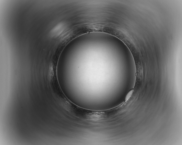 X0000094190128200710261139